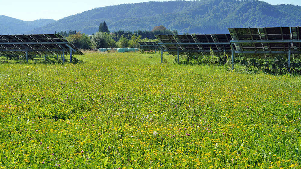 01 solarpark mooshof @ dieter heise