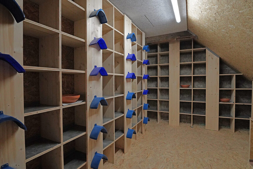 02 nistplätze singen 120126 ©dh