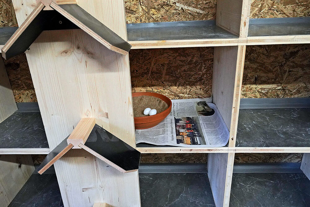 04 eierattrappen singen 120126 ©dh