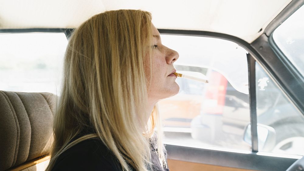 INGEBORG BACHMANN – JEMAND, DER EINMAL ICH WAR (© Elliott Kreyenberg)