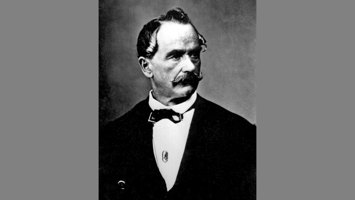 Karl Zogelmann: Vom liberalen 1848er zum kaisertreuen Patrioten
