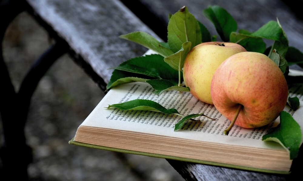 Äpfel © congerdesign auf Pixabay