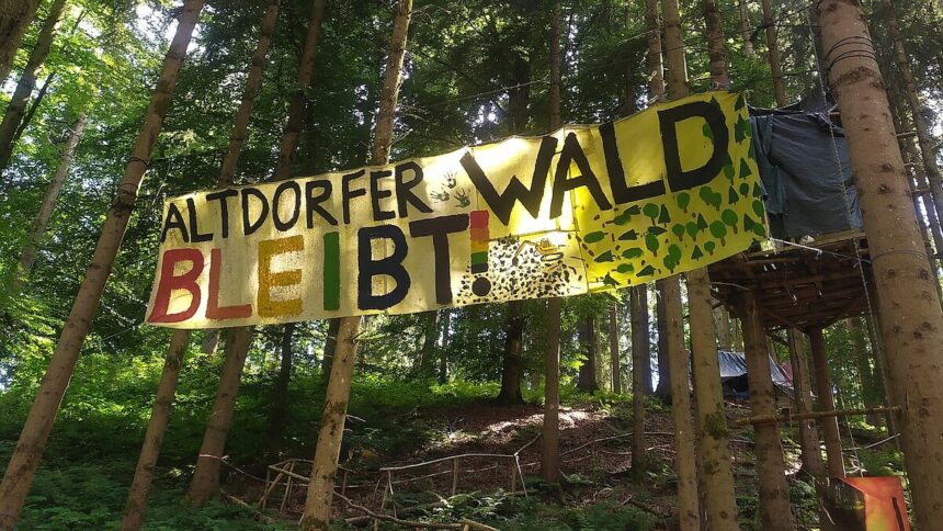 Workshop-Woche im Altdorfer Wald