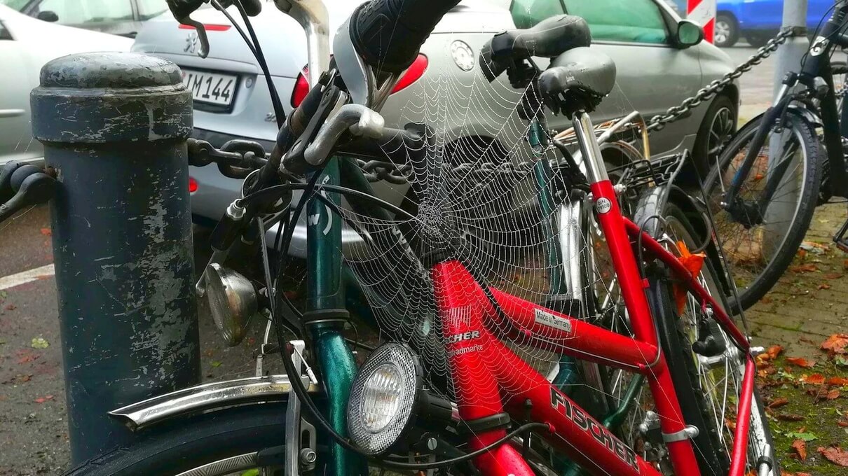 Fahrradparken mit Spinnennetz 29.10.2022 © Harald Borges