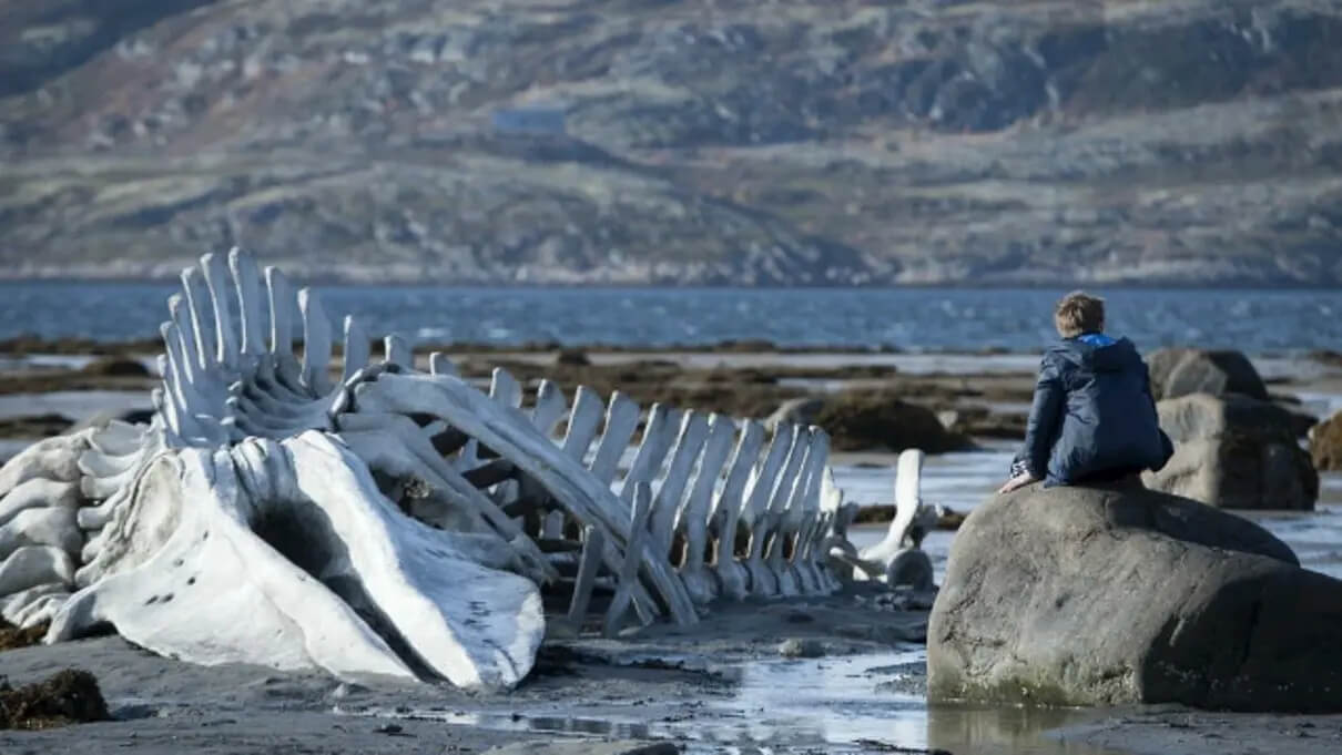 Film Leviathan, Russland 2014 © Pressefoto