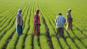 Women At Work, Gujarat © Wikimedia Commons