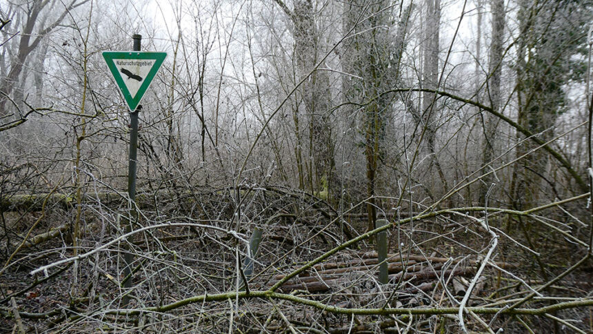 Wer Natur schützen will, muss mehr Konflikte wagen