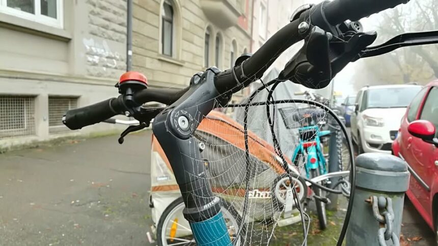 Wie geht es Ihnen dabei?