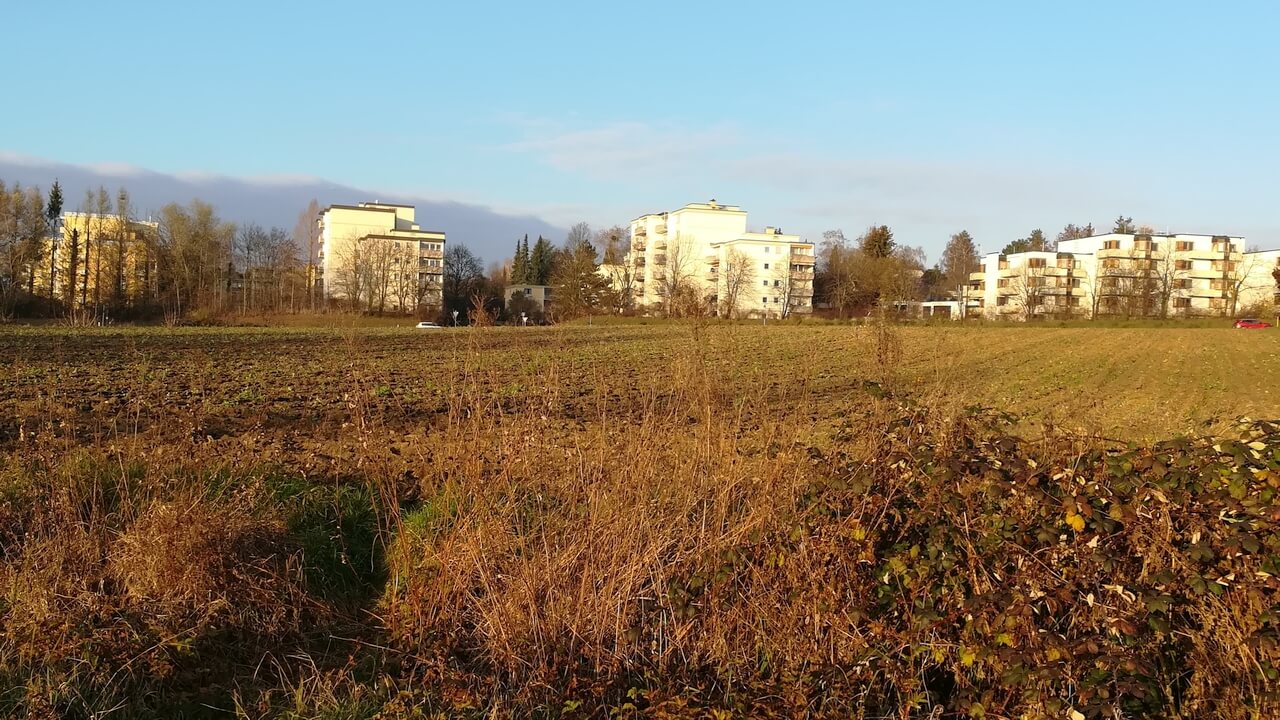 Allmannsdorf, Jungerhalde West, Bauplatz von Süden, 23.11.2020 © Harald Borges