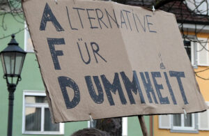 Alternative für dummheit protestplakat gg afd radolfzell © pit wuhrer