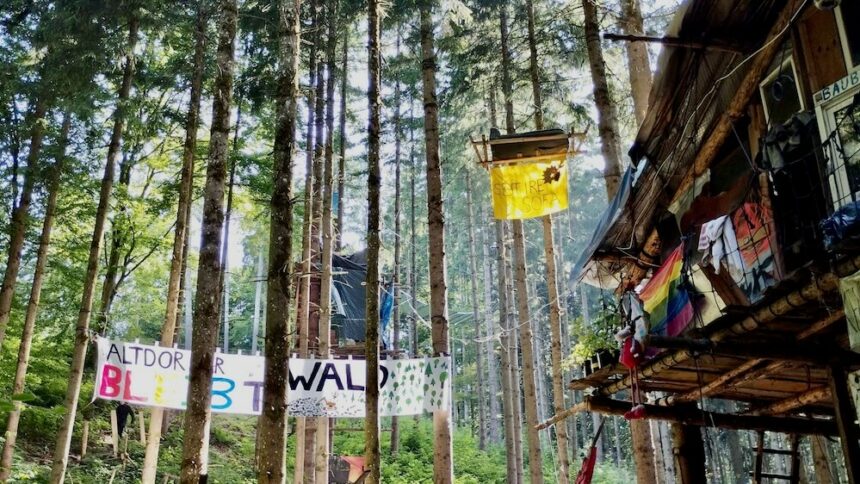 Alti-Waldbesetzung: „Hier kann ich ausatmen“