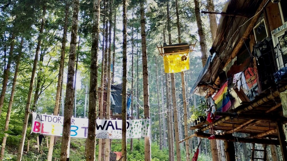 Alti bild besetzung altdorfer wald © privat