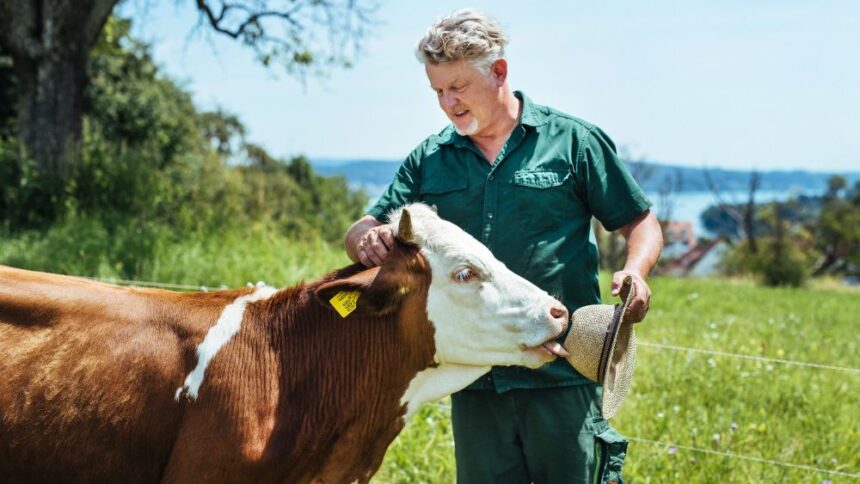 Kühe und Kinder – Der Haettelihof wird zwanzig Jahre alt