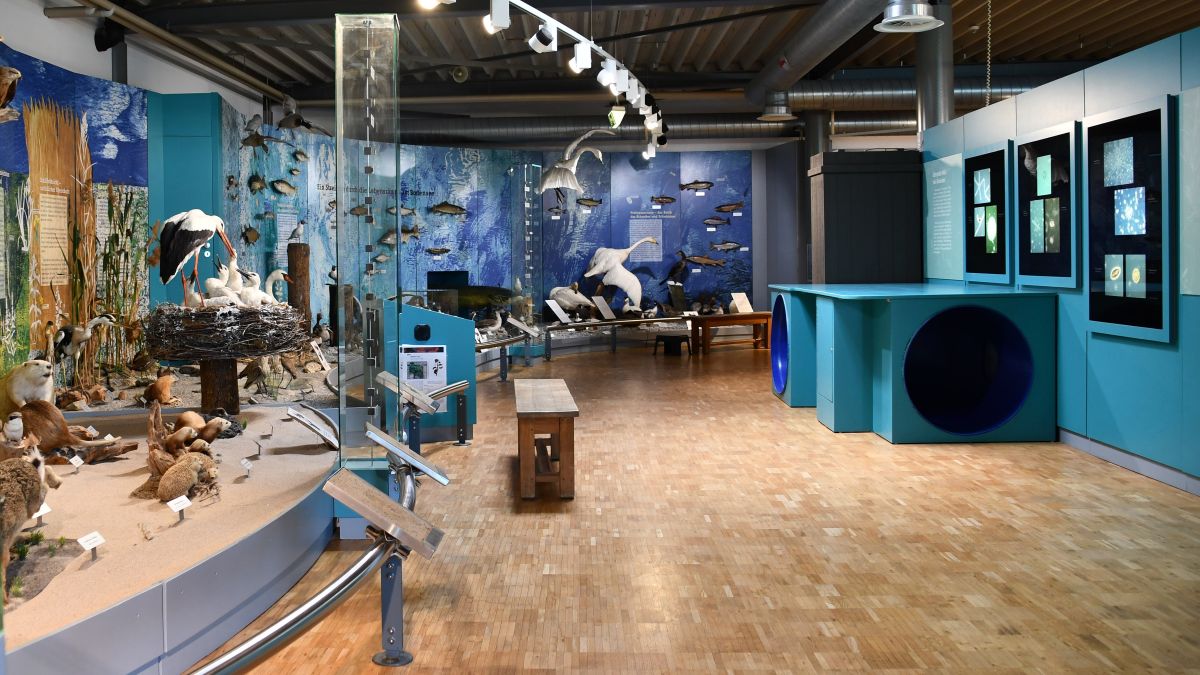 Blick in die dauerausstellung des bodensee naturmuseums lebensräume + kriechtunnel © martina kroth