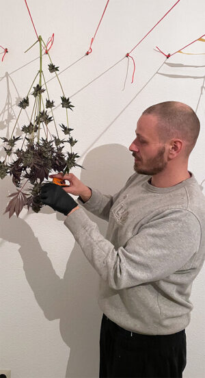 Cannabis club, pflege februar 2026 © miriam nagel