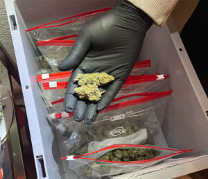 Cannabis club, erstes ergebnis © miriam nagel