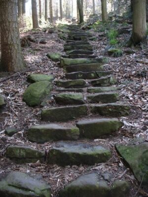 Himmelsleiter heidelberg 2012 04 © patrick brauns