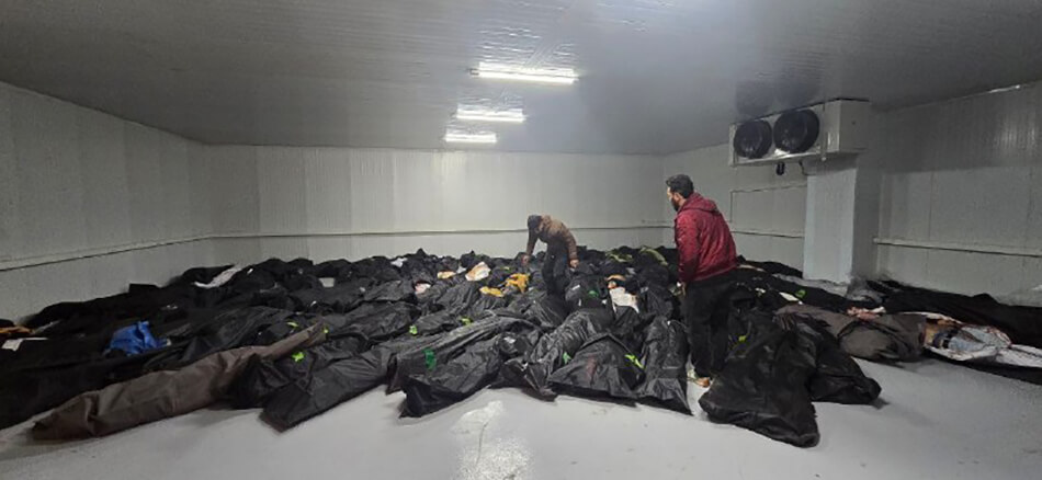 Mamlekate telegram 2026 01 27 98558 1