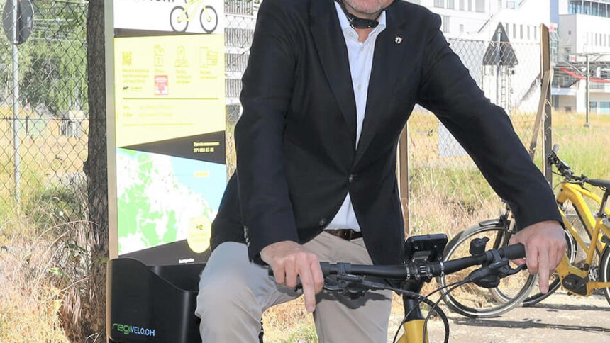 Seenachtfest: Kleiner, regionaler, nachhaltiger?