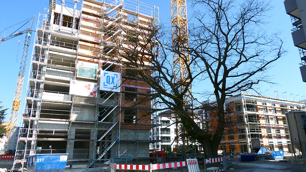 Ravensberg überbauung 2026 03 18 ©pit wuhrer