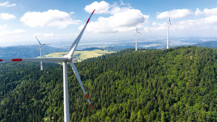 Grün-schwarzes Musterländle mit Roter Laterne