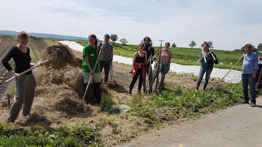 Mitproduzieren statt nur konsumieren – die Landwirtschaft der Zukunft ist solidarisch