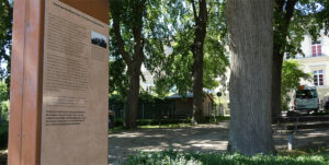 Stele t4 frauenspital © pit wuhrer