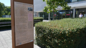Stele t4 krankenhaus © pit wuhrer