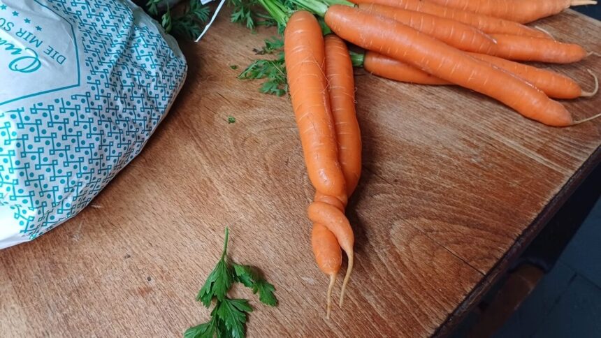 Wochenmarkt, möhren, brot, liebe 2025 07 04 © harald borges