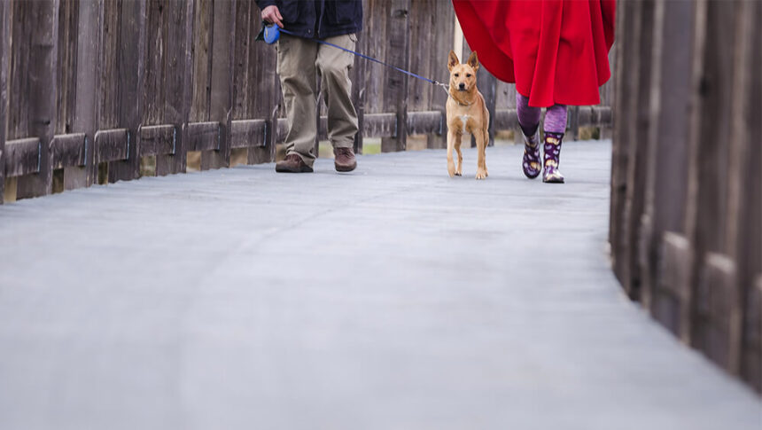 Ein hund, zwei personen © pixabay